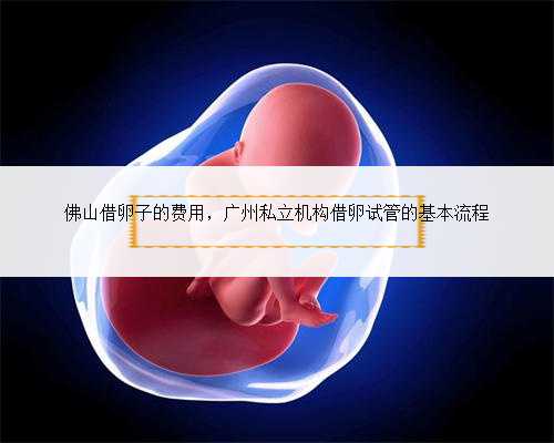 佛山借卵子的费用，广州私立机构借卵试管的基本流程