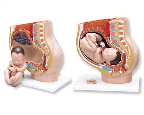 助孕工程新闻：宫腔粘连对ivf成功率影响大吗？