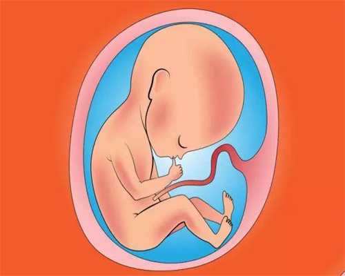 正规代孕：为什么有的女性，会轻易怀上葡萄胎