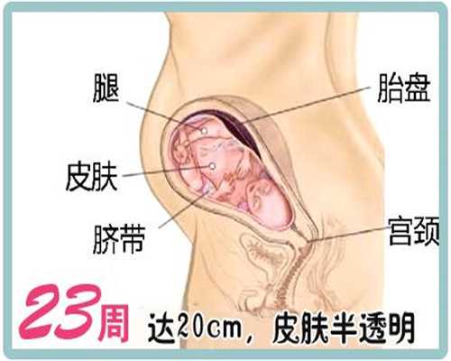 代孕产子价格哪里最低：子宫内膜厚是什么原因