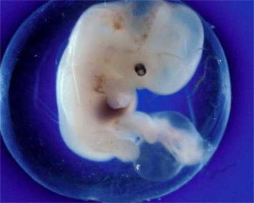 国内代孕户口：输卵管通而不畅手术怎么做