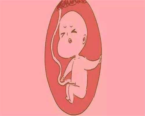 佛山代孕生儿子：代孕多长时间做b超做b超对胎儿