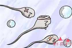 中国单身女性可以用精子库,郑州精子库联系方式