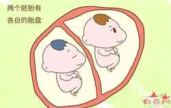 供卵的血缘，【卵巢早衰能做供卵吗】说一下，这一年的怀孕的血泪史（下）